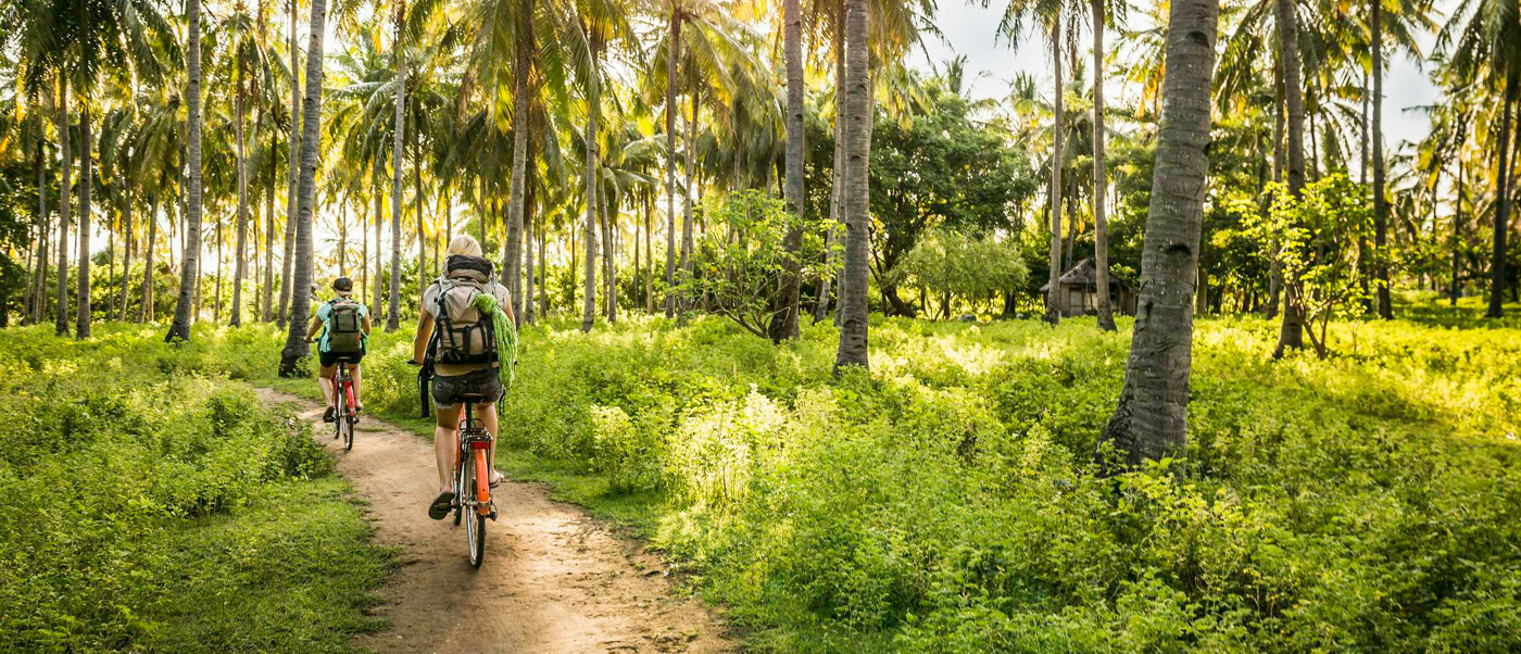 Cyclists with backpacks ride a dirt path through a lush, sunlit palm grove on Gili Trawangan.