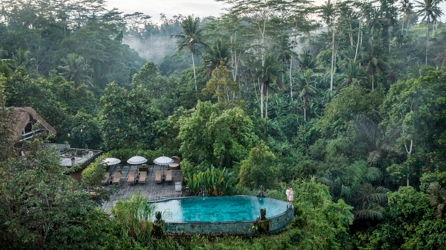A luxurious resort pool nestled in the dense tropical rainforest of Ubud, Bali.