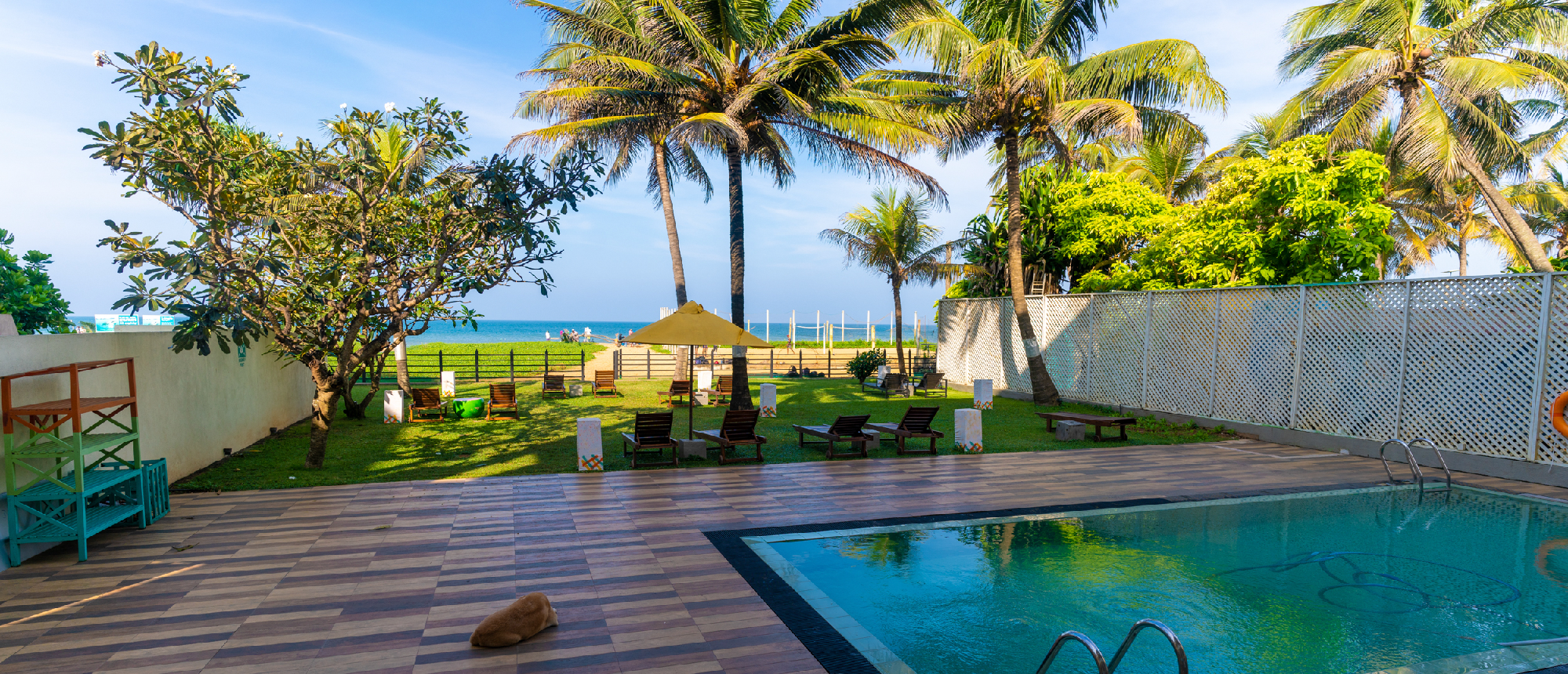 Relaxing tropical resort with a swimming pool, green lawn, palm trees, and the ocean in Colombo.