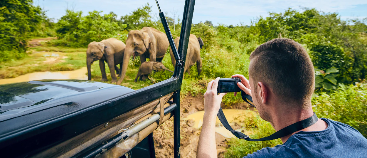 A man photographs a family of elephants, including a baby, from a safari jeep in Udawalawe.