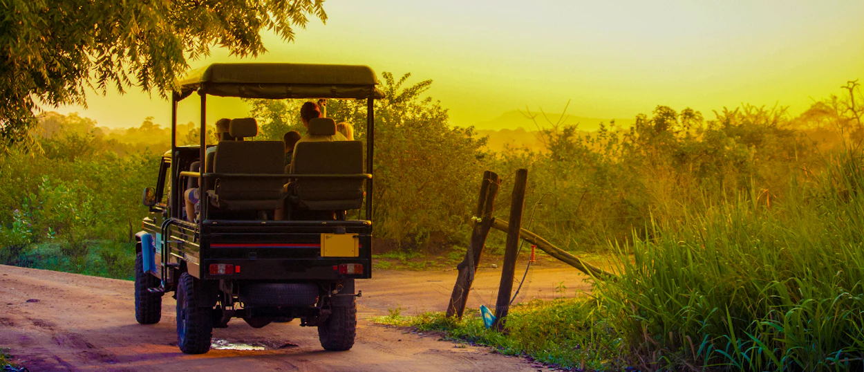 A safari jeep with tourists drives through Udawalawe National Park at golden hour.