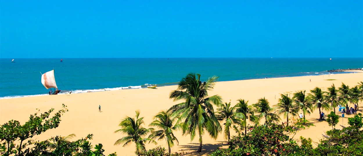 A serene Weligama Beach with golden sand, swaying palm trees, calm blue ocean, and a traditional sailboat.