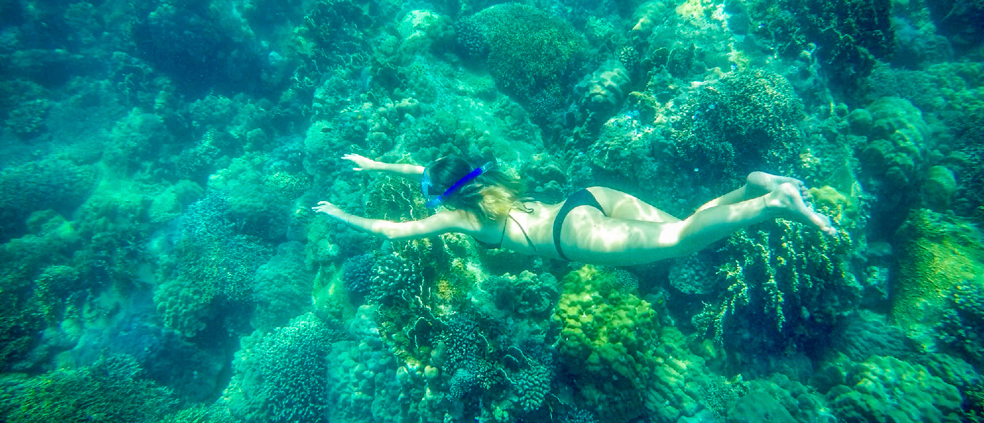 A snorkeler in a bikini glides gracefully over a vibrant coral reef in Nha Trang.