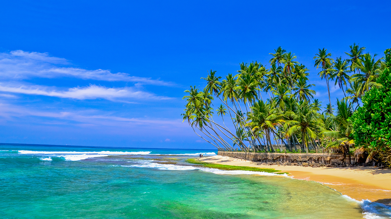 Sri Lanka: Beach & Safari Adventure
