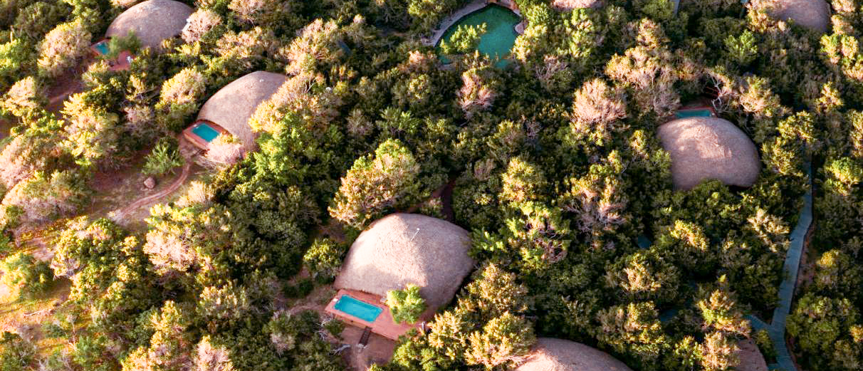 Luxury dome-shaped huts with private plunge pools nestled among the lush trees of Yala National Park.