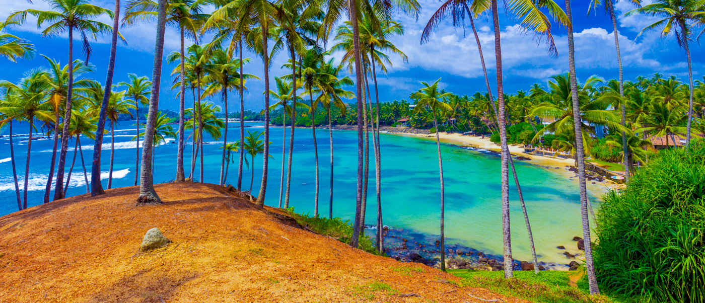 Tropical palm trees on Coconut Hill frame the vibrant turquoise bay and sandy beach in Mirissa.
