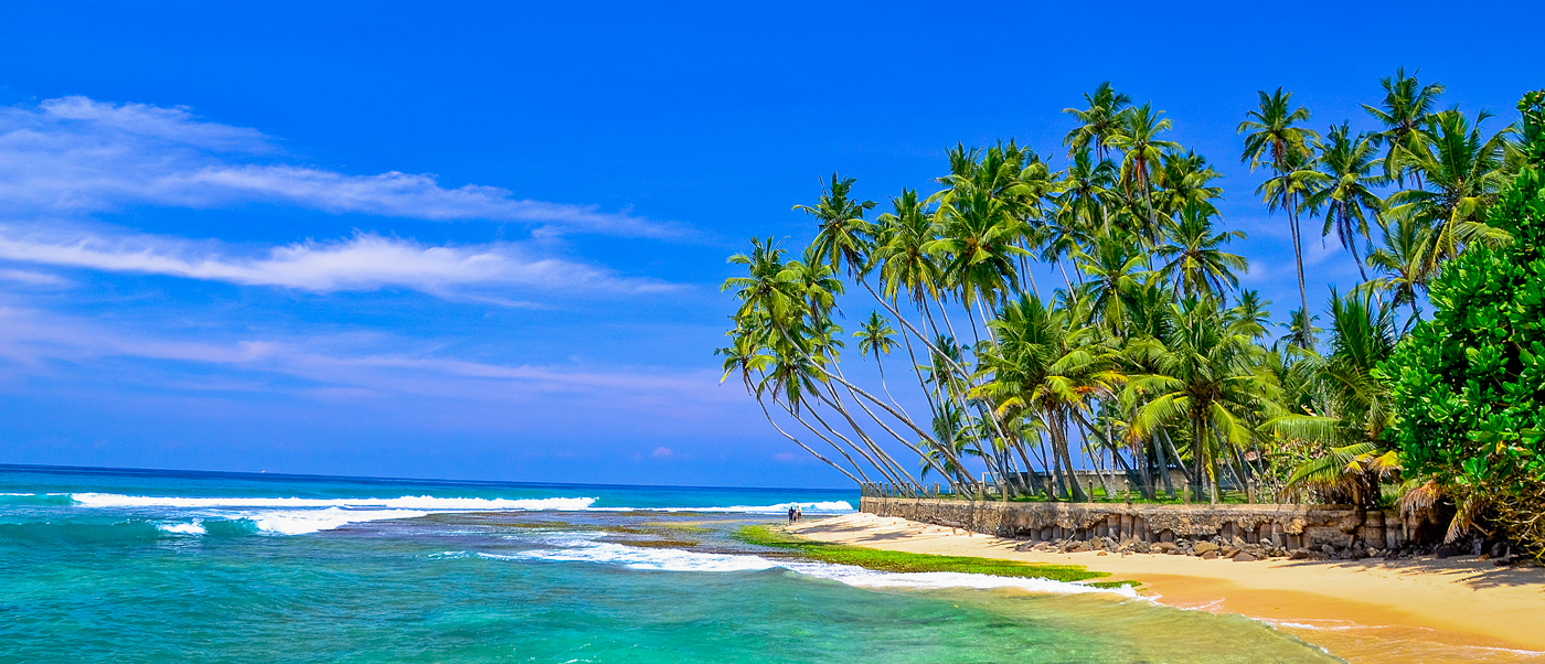 Beautiful Weligama beach with clear turquoise water, golden sand, and many leaning palm trees.