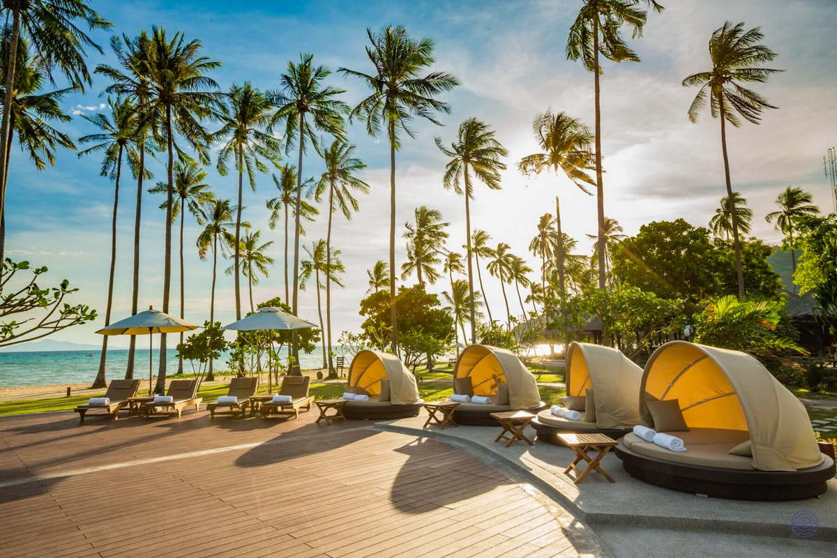 Sunny tropical resort on Koh Phi Phi with shaded daybeds, lounge chairs, and tall palm trees.