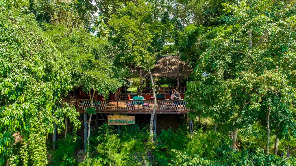 Guests relax on a wooden deck surrounded by vibrant green trees at a jungle lodge in Kanchanaburi.