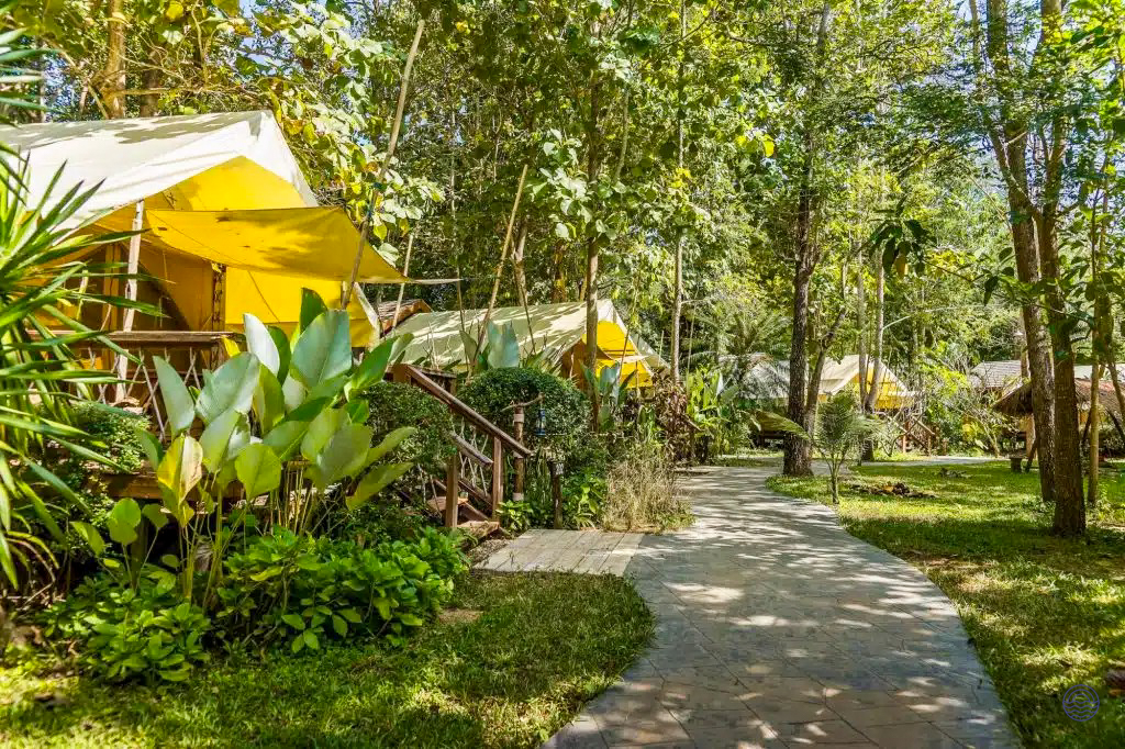 Yellow glamping tents nestled among lush tropical trees and a winding path in Kanchanaburi, Thailand.