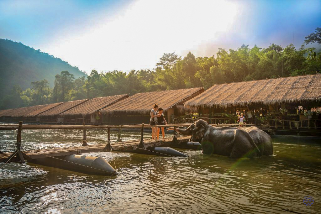 A couple enjoys feeding an elephant in the river at a beautiful jungle resort in Kanchanaburi.