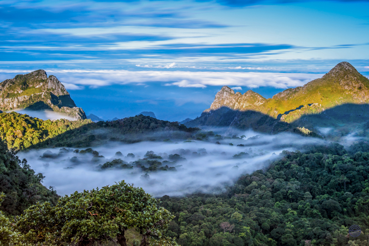 Majestic mountain peaks emerge from a sea of mist, creating a serene landscape in Chiang Mai.