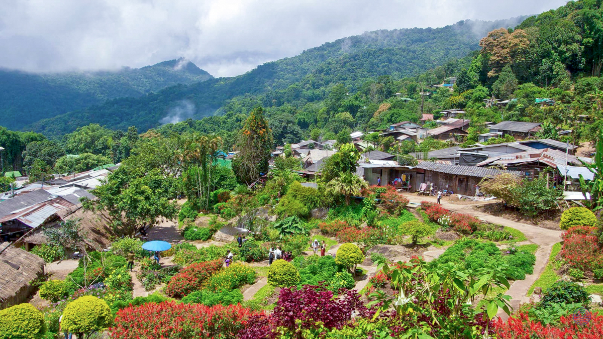 Traditional Hmong village houses and vibrant gardens nestled amidst lush, misty mountains in Chiang Mai.