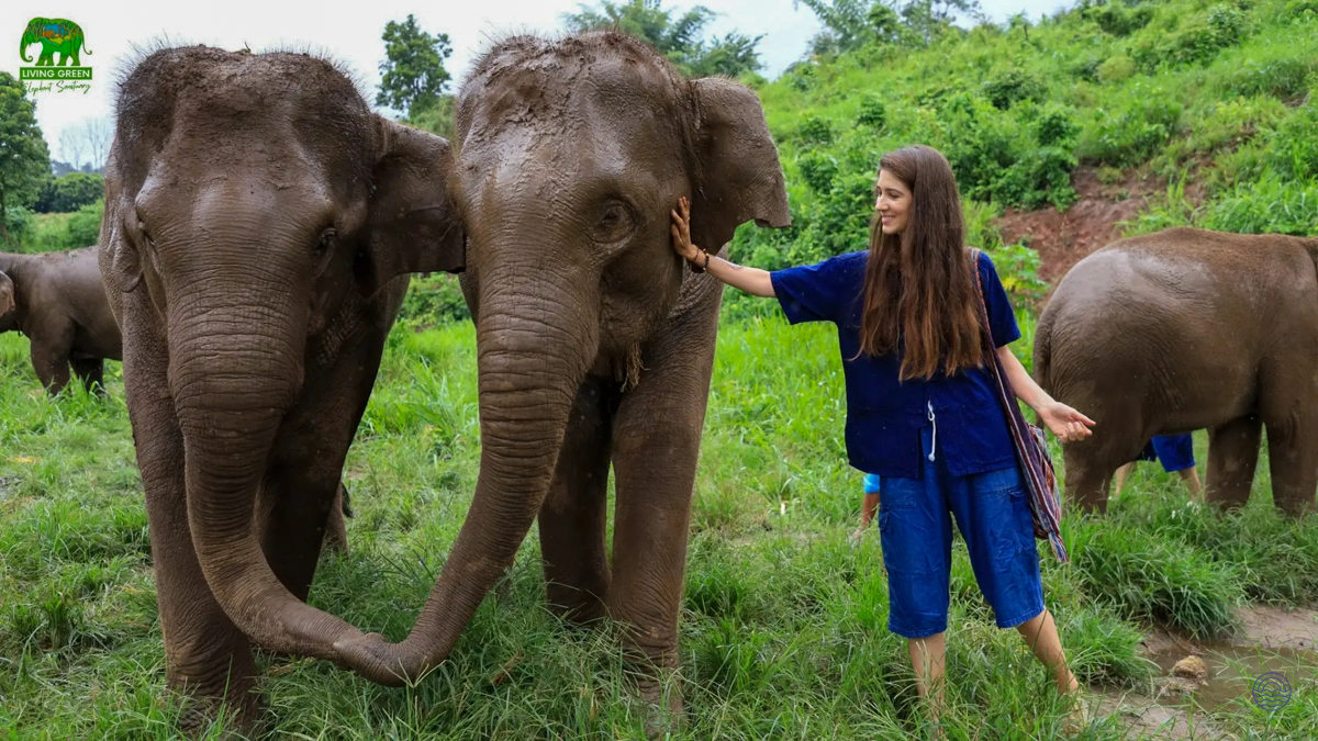 A smiling woman gently pets a muddy elephant in a lush green sanctuary in Chiang Mai.