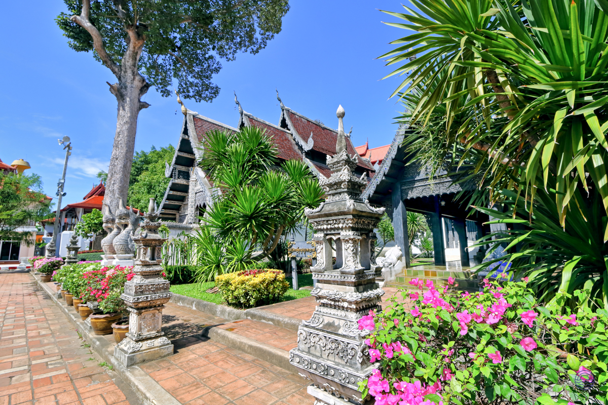 Traditional temple buildings in Chiang Mai with ornate roofs, surrounded by lush gardens and vibrant pink flowers.