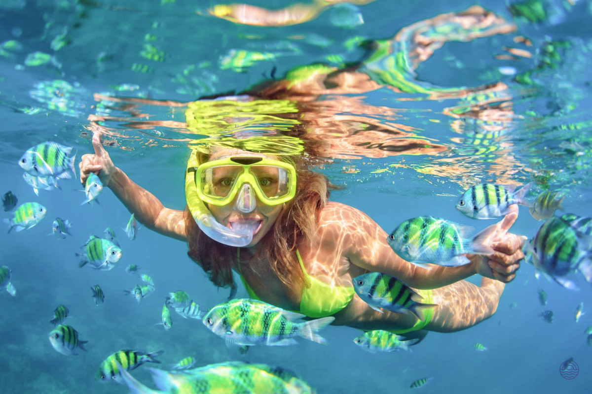 Smiling woman in yellow bikini snorkeling with vibrant fish in the clear waters of Koh Phi Phi.