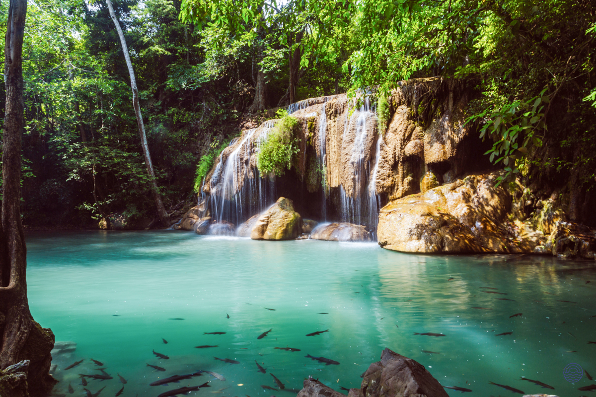 Stunning Erawan Waterfalls cascading into a clear turquoise pool filled with fish in Kanchanaburi.