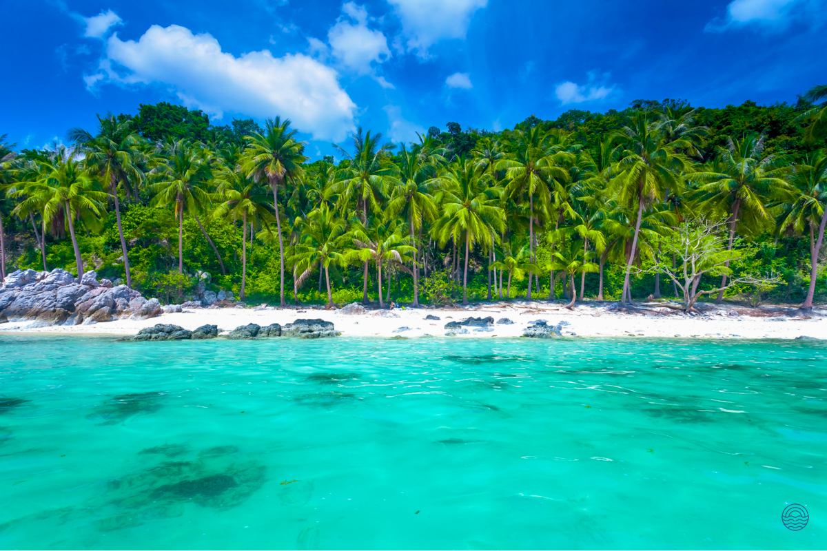 Idyllic Koh Samui beach featuring crystal-clear turquoise water, white sand, and swaying palm trees.