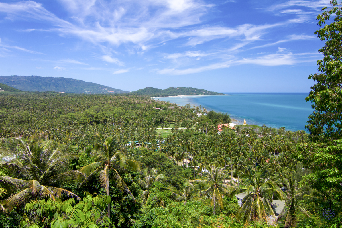 Expansive view of Koh Samui's tropical coastline, with dense palm forests, golden beaches, and clear blue sea.