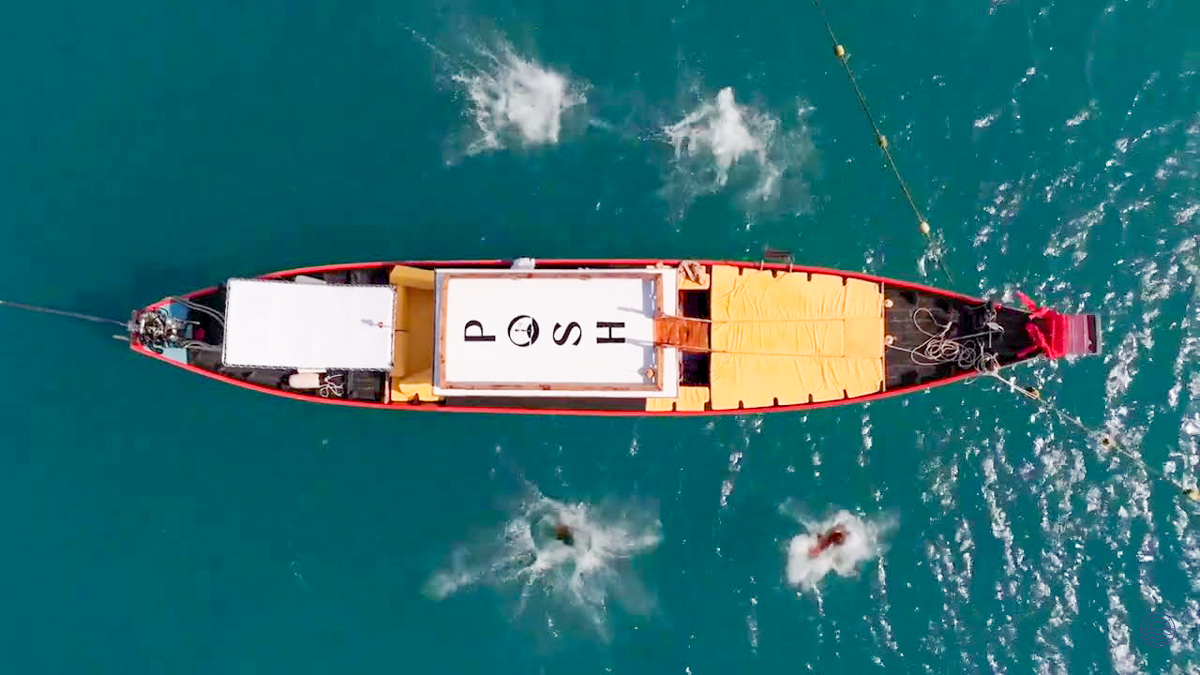 Guests jump from a Posh longtail boat into the clear turquoise waters of Koh Samui.