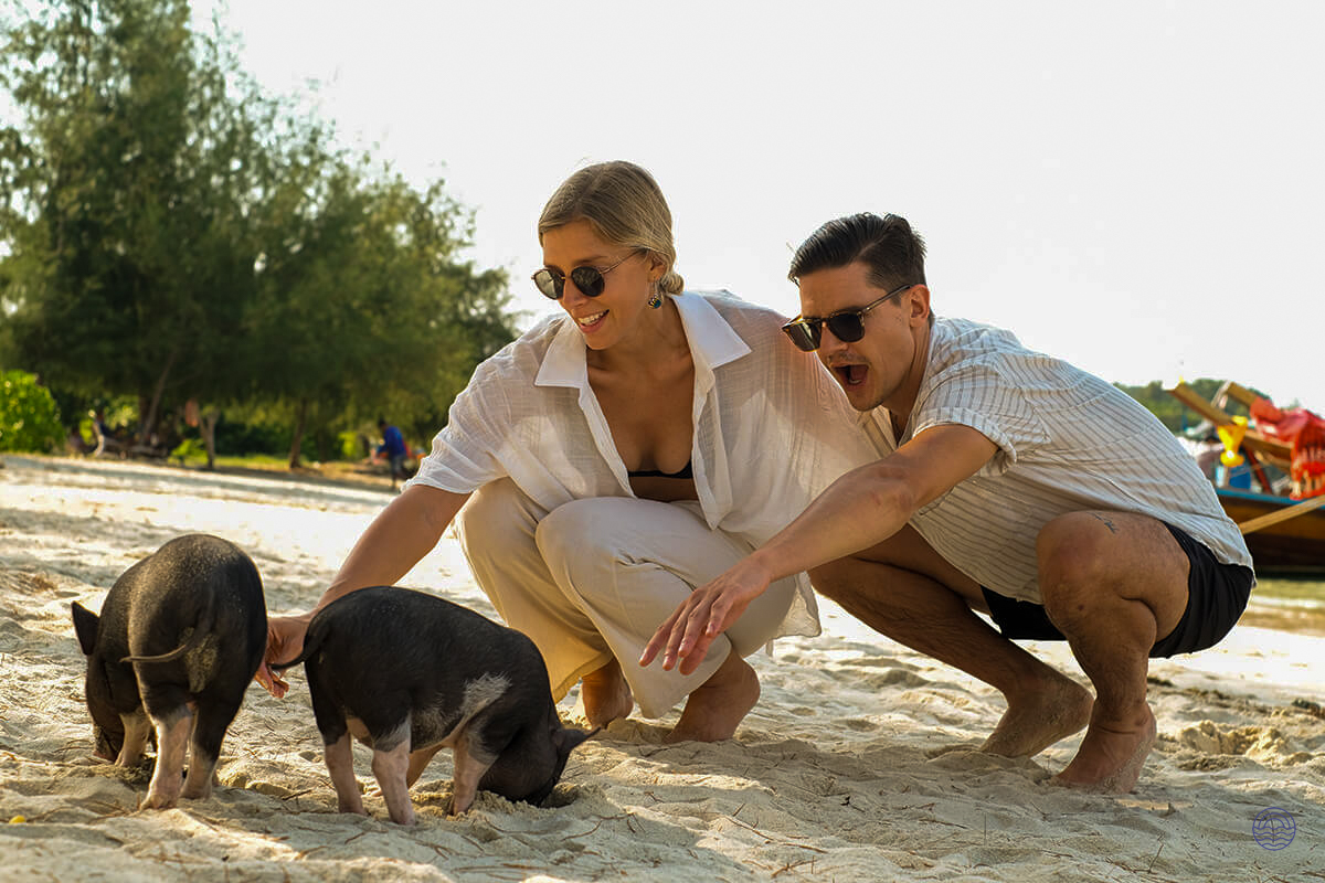 A happy couple interacts with two small pigs on the sandy beach at Koh Madsum.