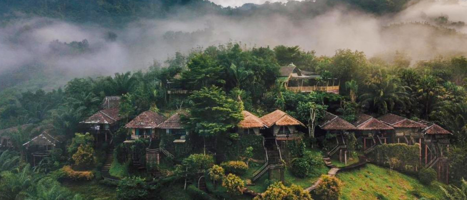 Charming rustic bungalows nestled in a lush green Khao Sok hillside with misty mountains.