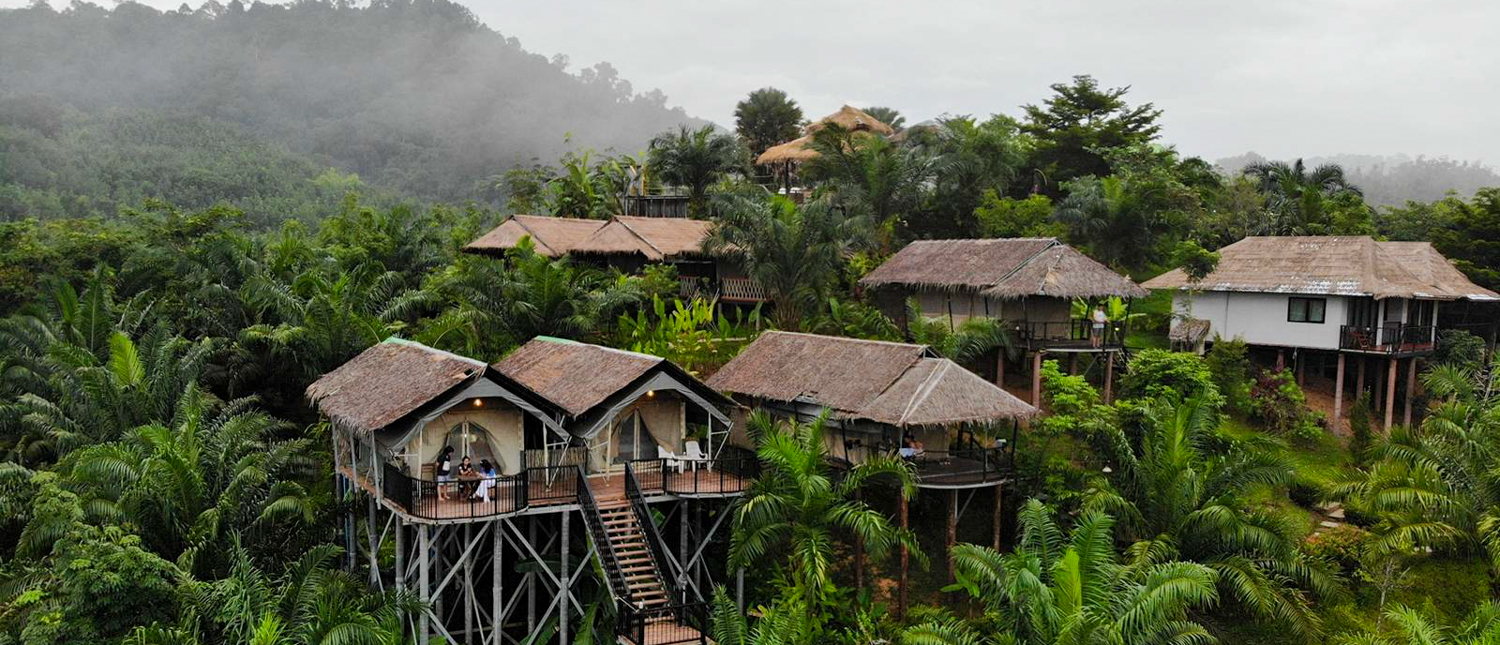 Peaceful elevated bungalows with thatched roofs in a lush, misty tropical forest in Khao Sok.