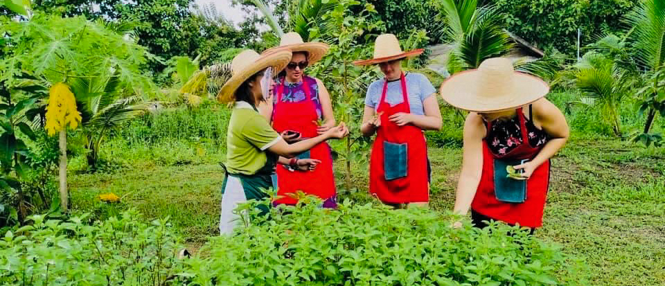 Tourists in straw hats and red aprons gather fresh herbs at an organic cooking school in Chiang Mai.