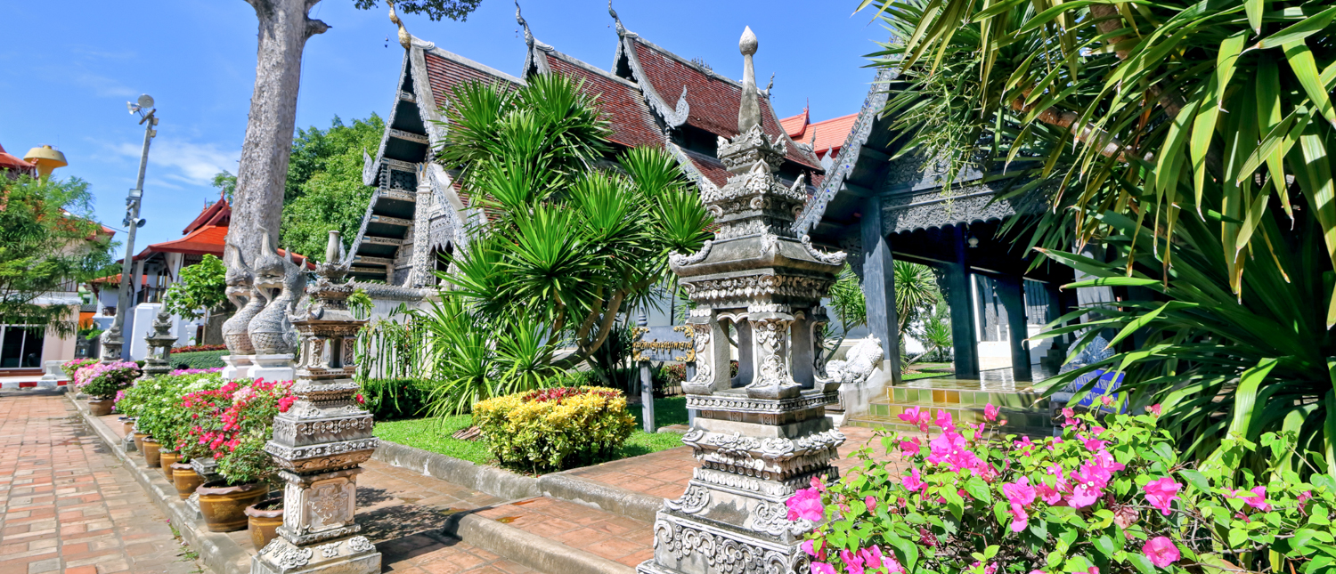 Ornate traditional temple buildings with multi-tiered roofs, surrounded by lush gardens and vibrant flowers in Chiang Mai.