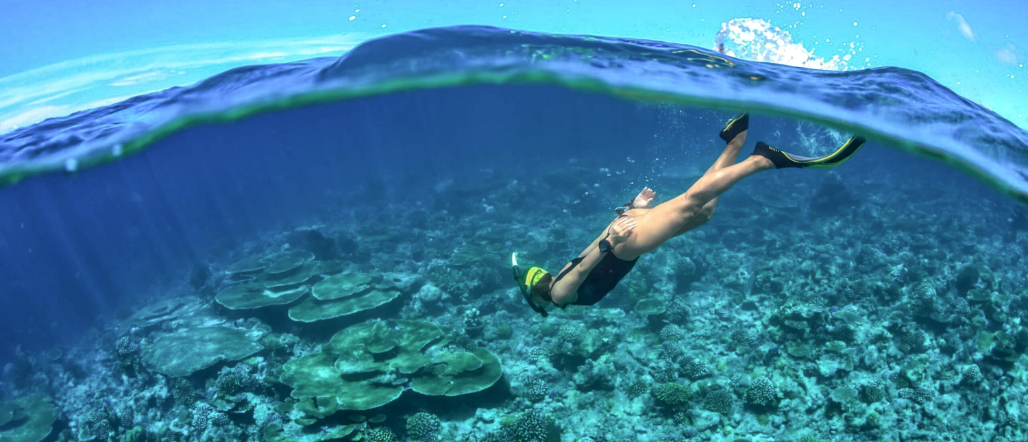 A person snorkeling underwater in clear blue tropical waters over vibrant coral reefs in Koh Phi Phi.