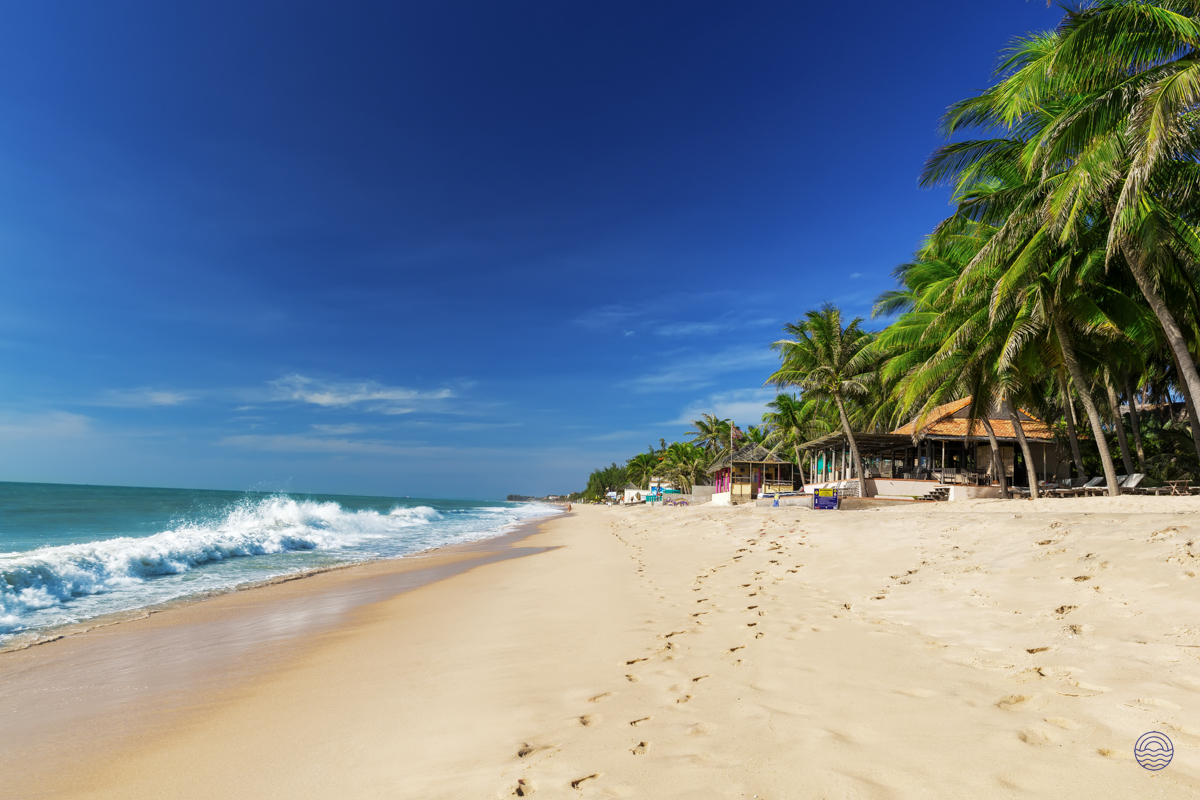 Golden sand and turquoise waves meet lush palm trees on tranquil An Bang Beach, Hoi An.