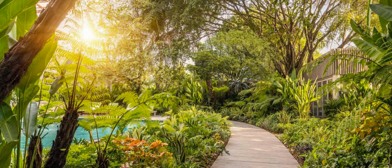 A sunny path through lush tropical gardens at An Lam Retreats Saigon River in Ho Chi Minh City.