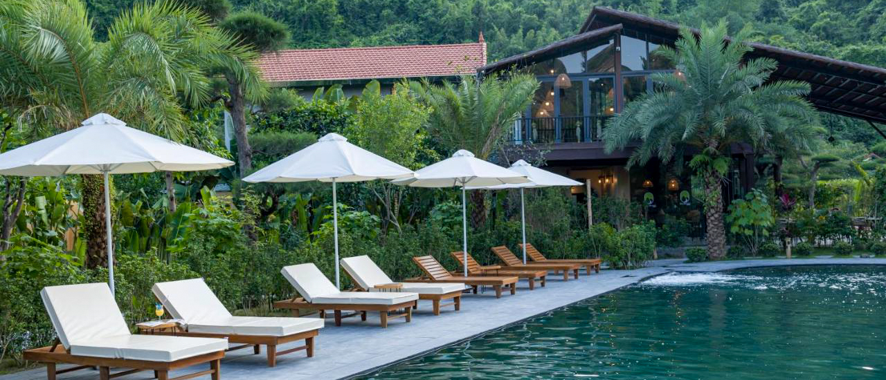 A tranquil resort swimming pool with lounge chairs and umbrellas amidst tropical plants in Tam Coc.