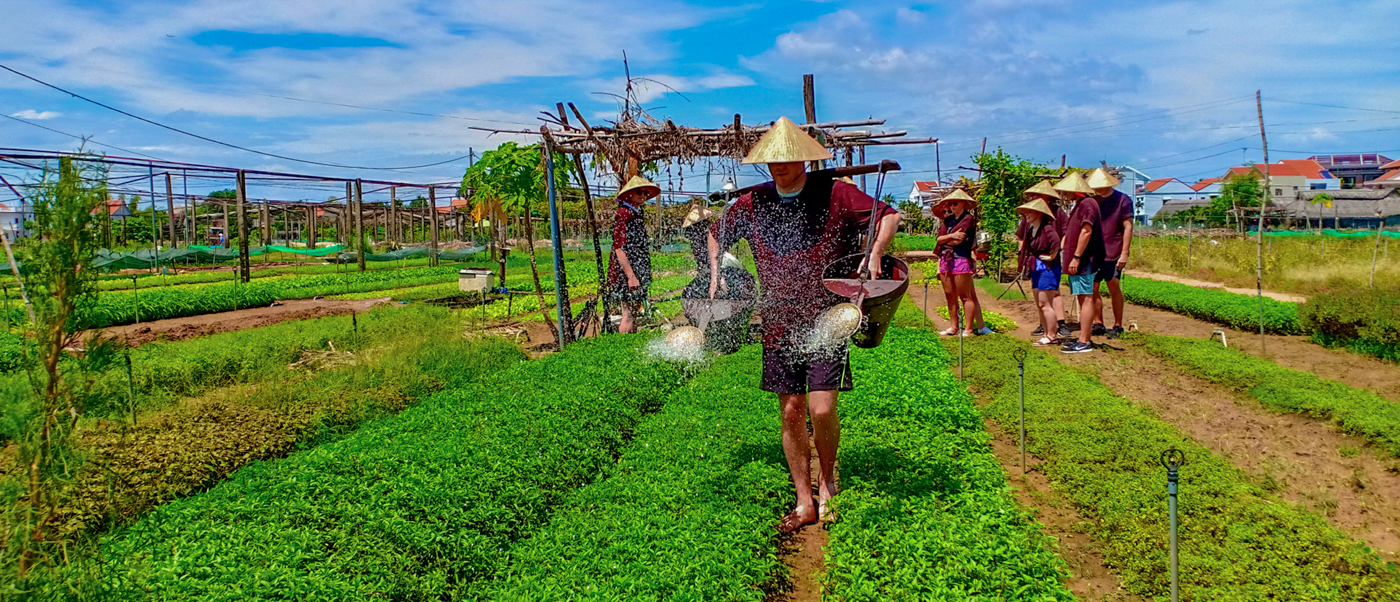 Travelers wearing traditional conical hats water rows of green plants in a sunny Hoi An garden.