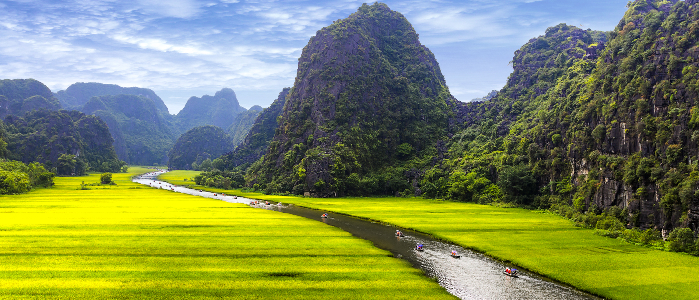 Boats on a river winding through vibrant green rice paddies and towering limestone karsts in Tam Coc, Vietnam.